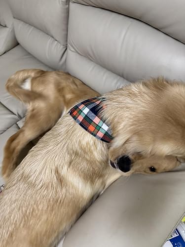 Amazon | ペットバンダナ 8枚セット VIPITH 犬用8色 ペット用唾液